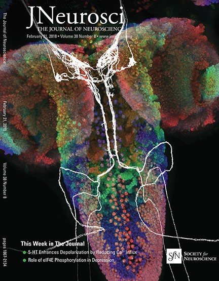 td axons - jneurosci cover