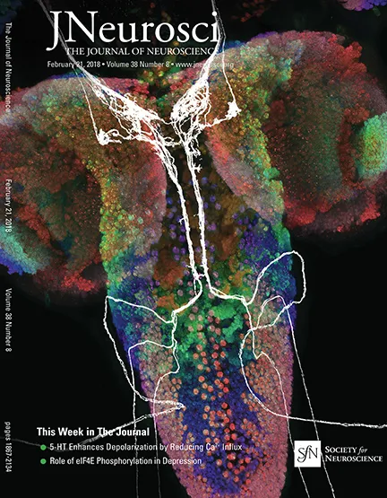 jneuro cover image