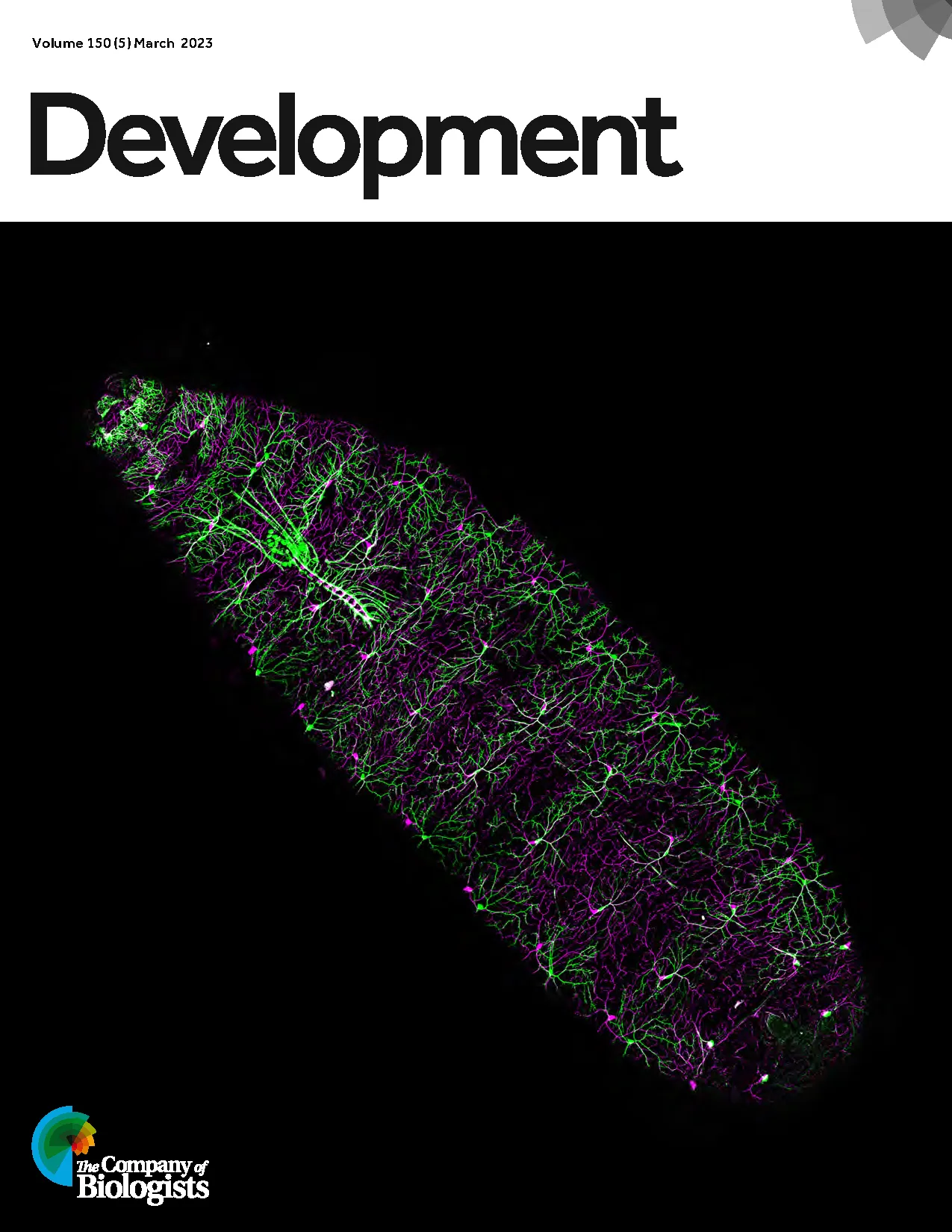 development cover