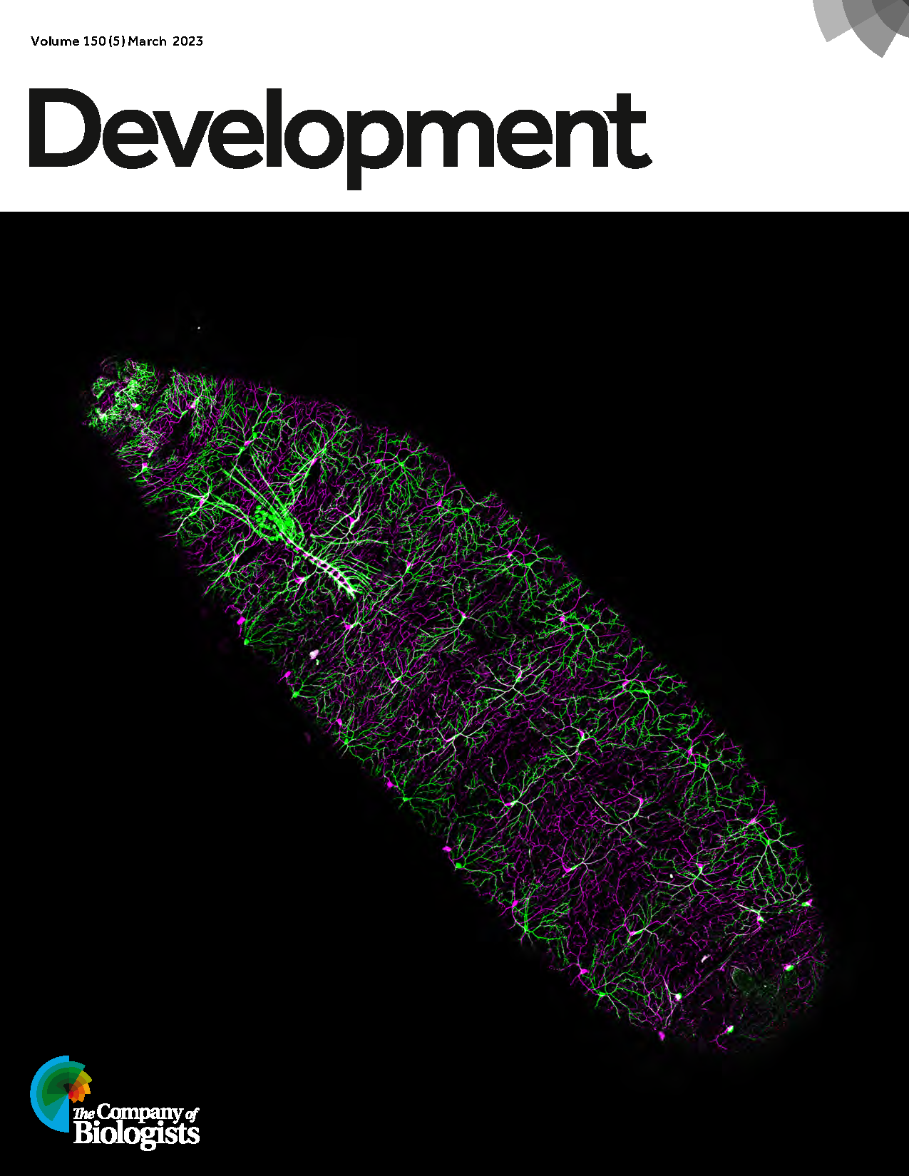 development cover