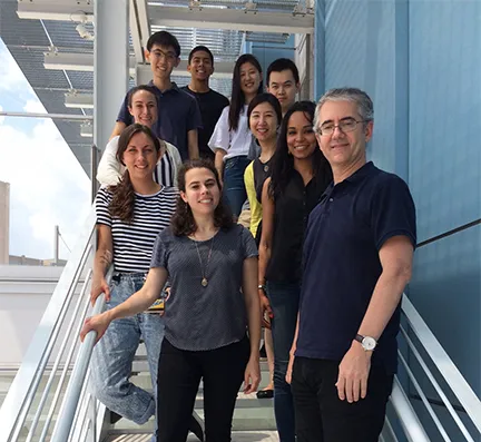 Grueber Lab Summer2018sm.jpg